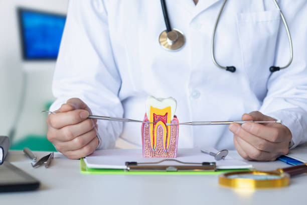 Best Emergency Root Canal Treatment in La Cresta, CA